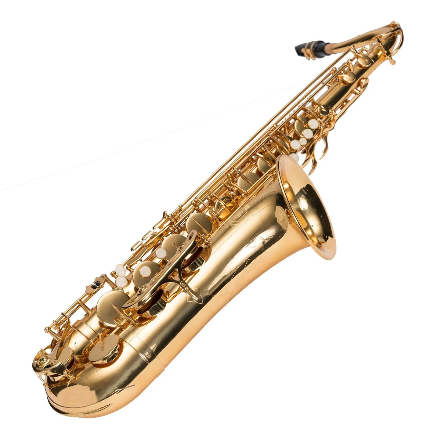 Steinhoff TS20 Intermediate Tenor Saxophone Gold Lacquer with Case and Accessories — view 2