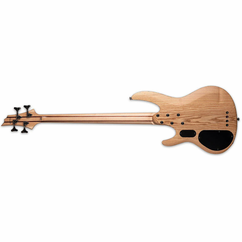 LTD B-204 Spalted Maple 4 String Bass with Ash Body and Active EQ — view 2
