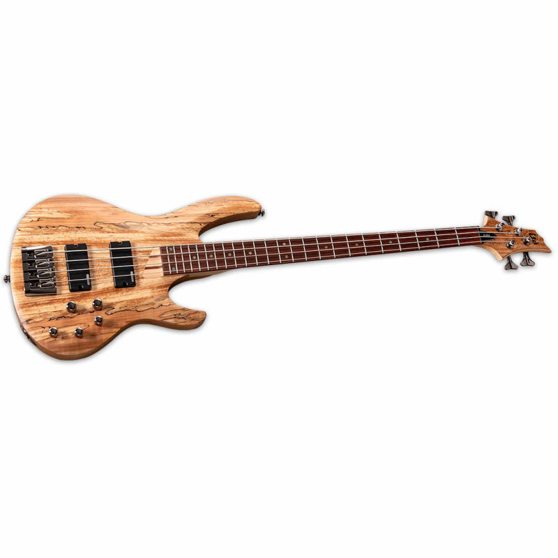 LTD B-204 Spalted Maple 4 String Bass with Ash Body and Active EQ — view 3