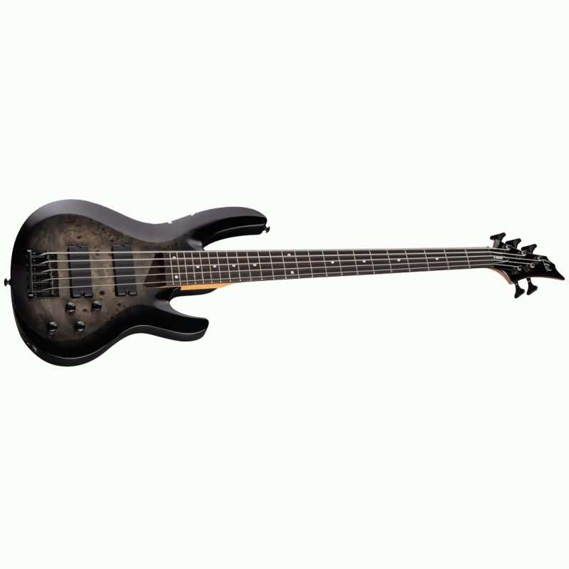 ESP LTD B-205DX Bass Guitar - Black Burst Finish — view 3