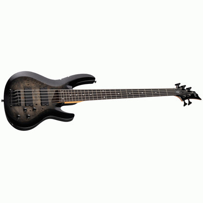 ESP LTD B-205DX Bass Guitar - Black Burst Finish — view 3