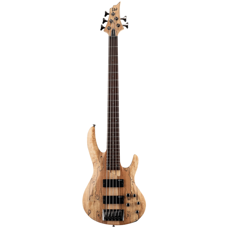 LTD B-205 Spalted Maple 5-String Bass Guitar Natural Satin Finish