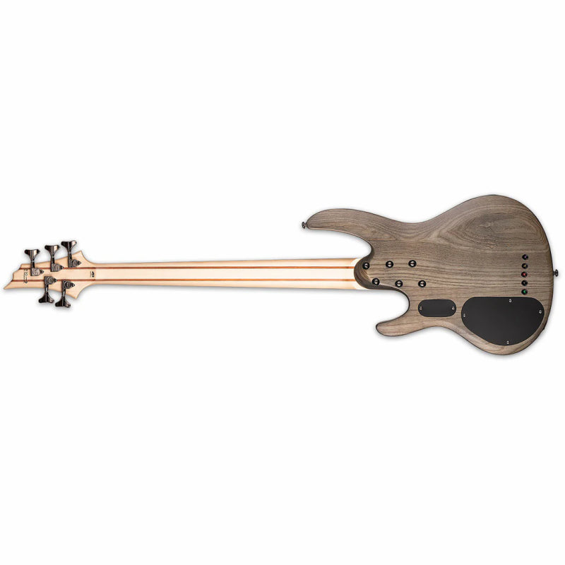 LTD B-205 Spalted Maple 5-String Bass Guitar Natural Satin Finish — view 2