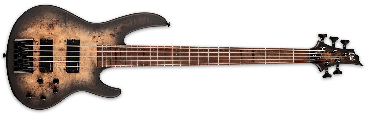 ESP LTD D-5 5 String Electric Bass Guitar Black Natural Burst Satin