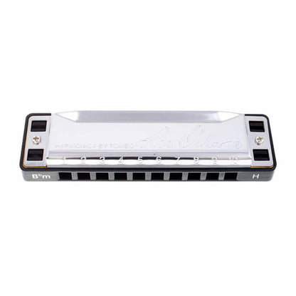 Lee Oskar B Flat Minor Harmonica 10 Hole World Music Tuning