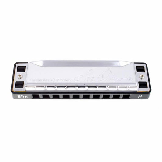 Lee Oskar B Flat Minor Harmonica 10 Hole World Music Tuning