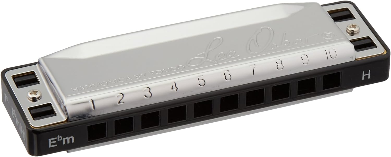 Lee Oskar E Flat Minor Harmonica 10 Hole World Music Tuning