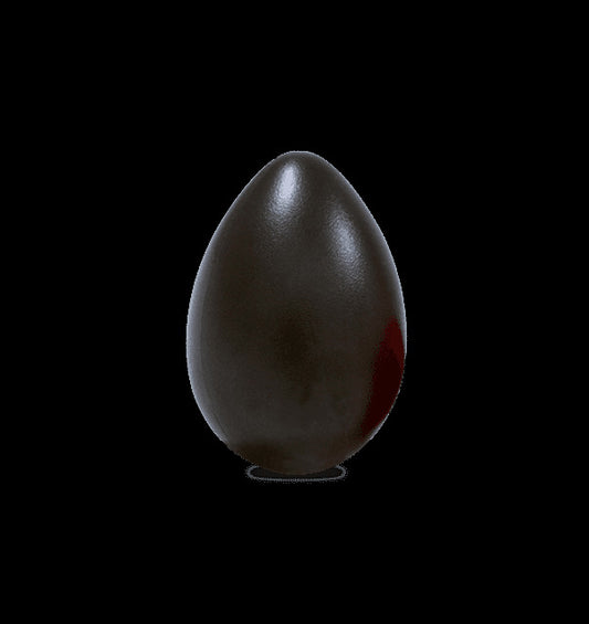 LP Big Egg Shaker Black