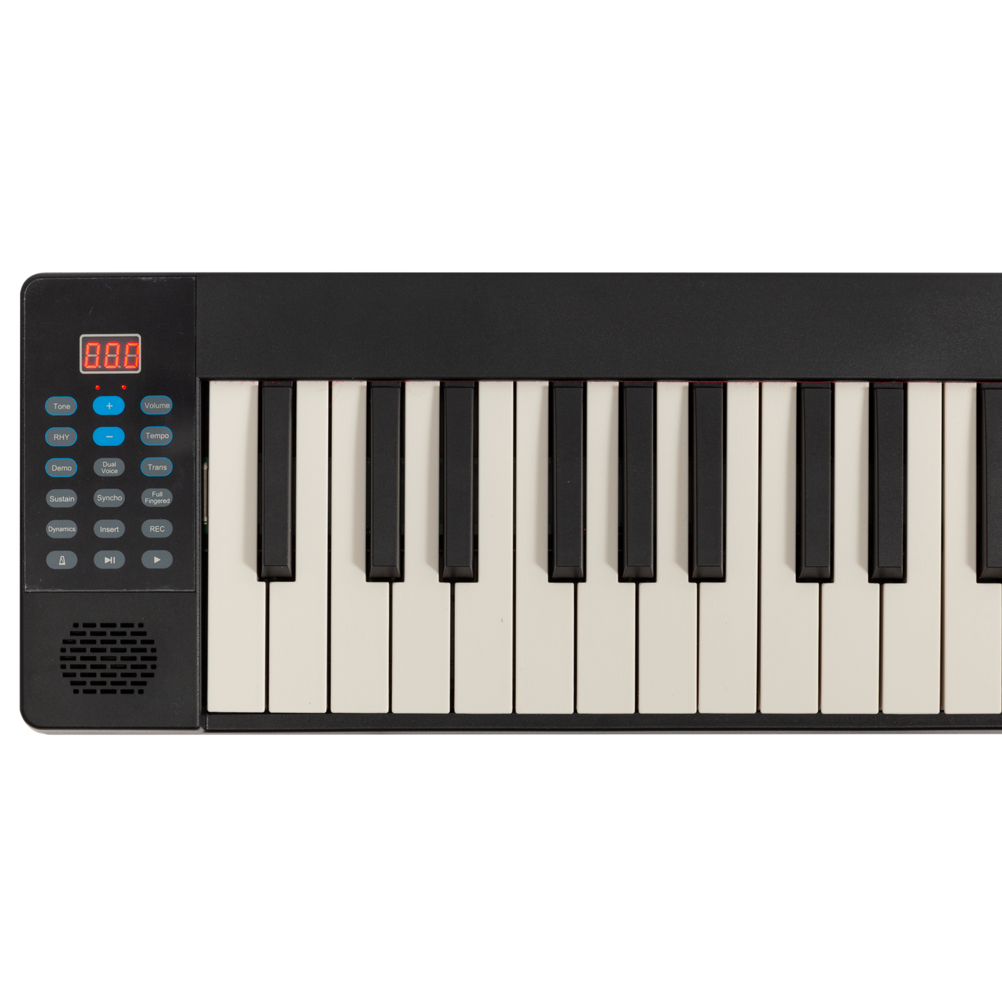 Lorden LPJ-88S 88-Key Fold-Up Digital Piano with Bluetooth Audio and MIDI Function — view 2