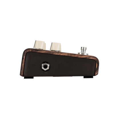 LR Baggs Align Chorus Pedal for Acoustic Guitar — view 2
