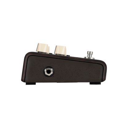 LR Baggs Align Delay Pedal for Acoustic Guitar — view 2