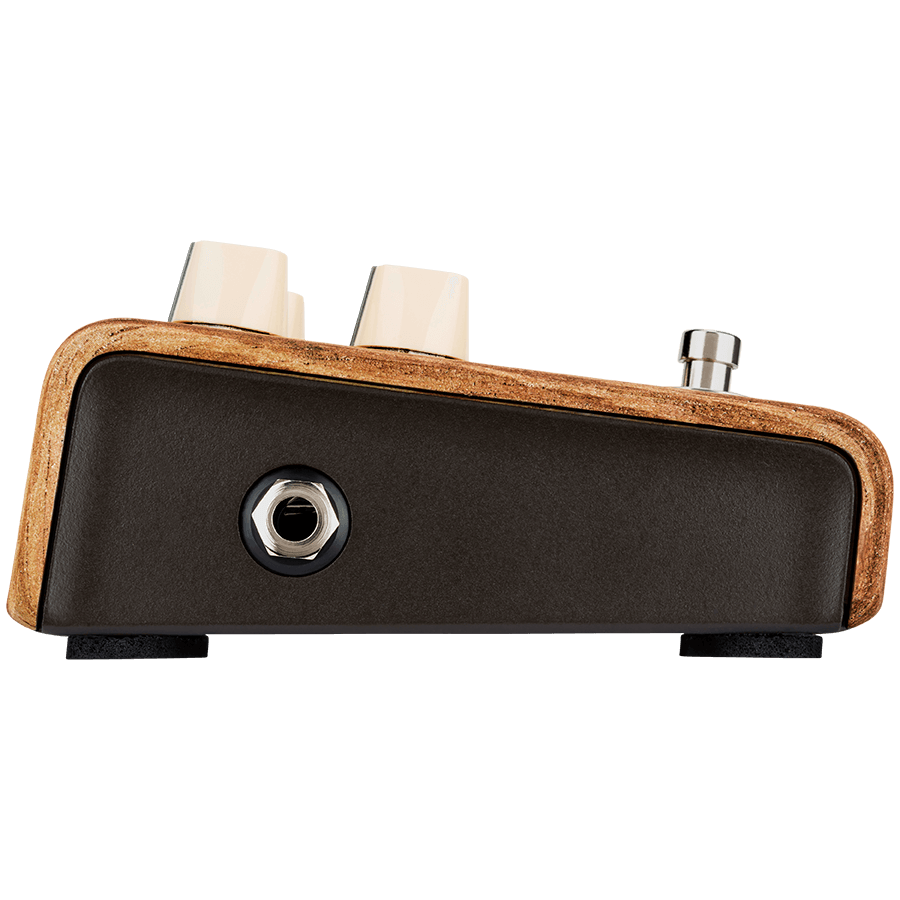 LR Baggs Align Session Acoustic Pedal — view 6