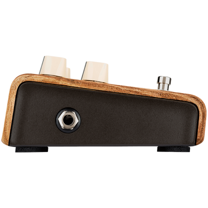 LR Baggs Align Session Acoustic Pedal — view 6