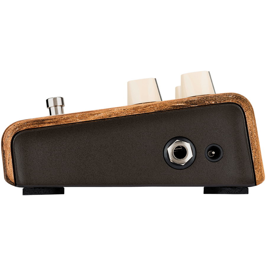 LR Baggs Align Session Acoustic Pedal — view 2