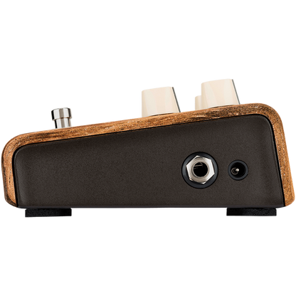 LR Baggs Align Session Acoustic Pedal — view 2