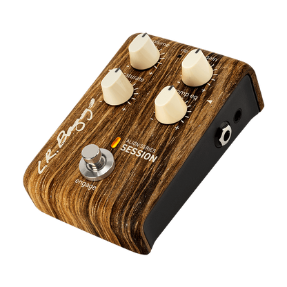 LR Baggs Align Session Acoustic Pedal — view 3