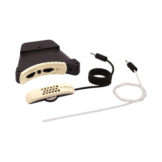 LR Baggs Anthem Acoustic Guitar Pickup System with TRU•MIC and Element