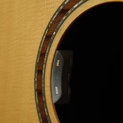 LR Baggs HiFi Duet Pickup and Microphone Mixing System — view 3