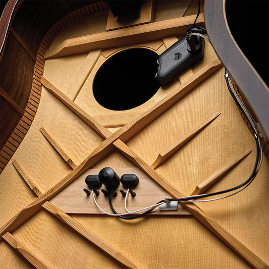 LR Baggs HiFi Duet Pickup and Microphone Mixing System