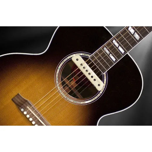LR Baggs M1A Active Soundhole Magnetic Pickup with Built-in Preamp and Volume Control