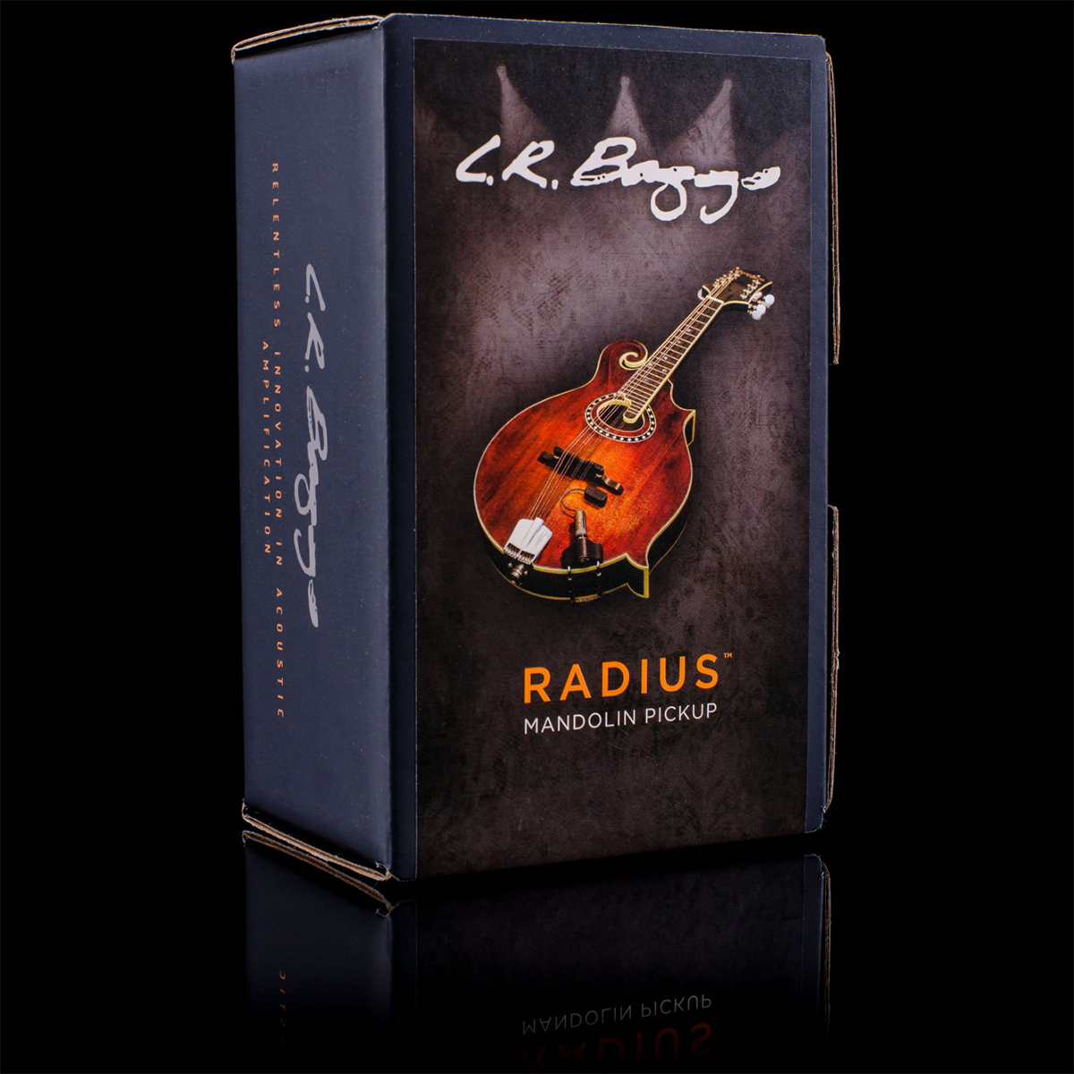 LR Baggs Radius Mandolin Pickup with Jack and Mounting Accessories