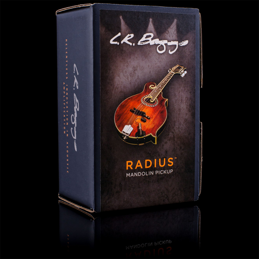LR Baggs Radius Mandolin Pickup with Jack and Mounting Accessories