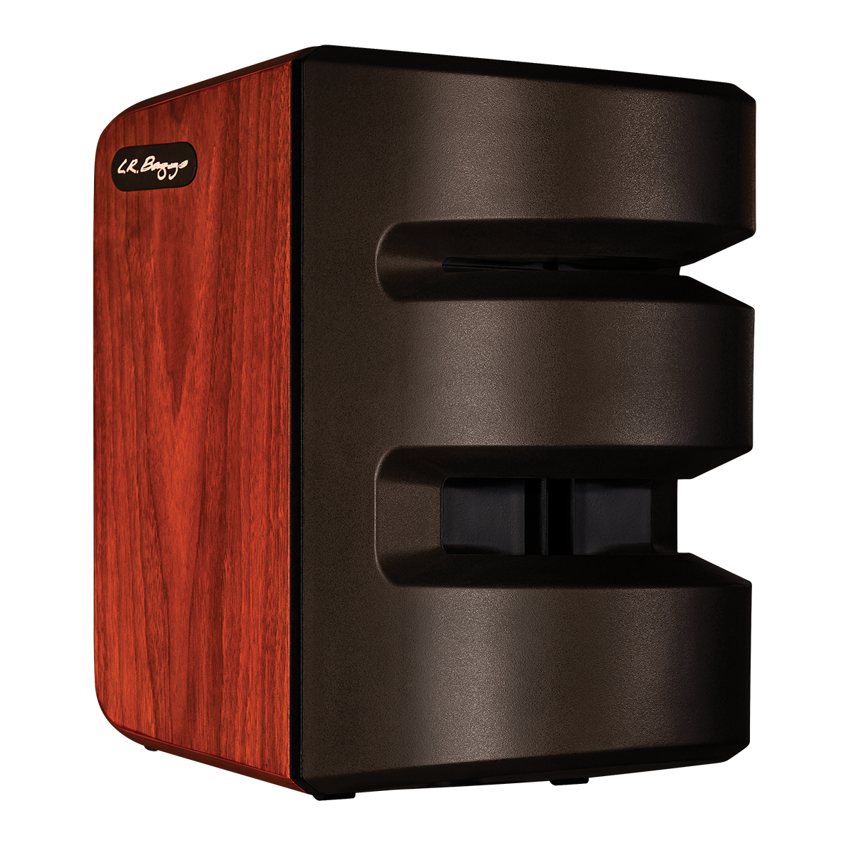 LR Baggs Synapse Personal PA System with 500 Watt Class-D Amplifier and Dual Channel Preamplifiers