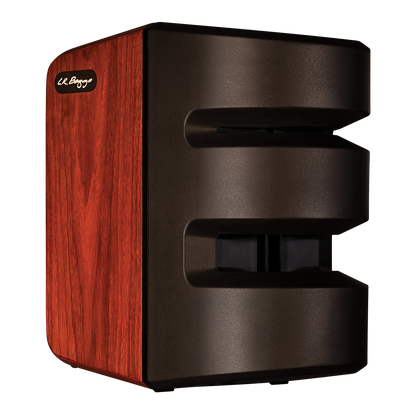 LR Baggs Synapse Personal PA System with 500 Watt Class-D Amplifier and Dual Channel Preamplifiers