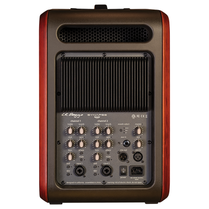 LR Baggs Synapse Personal PA System with 500 Watt Class-D Amplifier and Dual Channel Preamplifiers — view 2