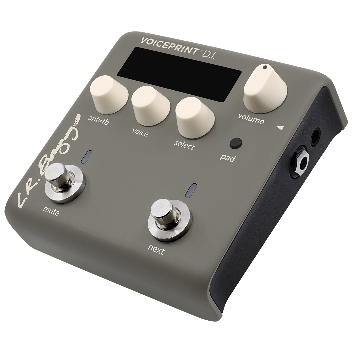 LR Baggs Voiceprint DI Acoustic Guitar Pedal — view 5