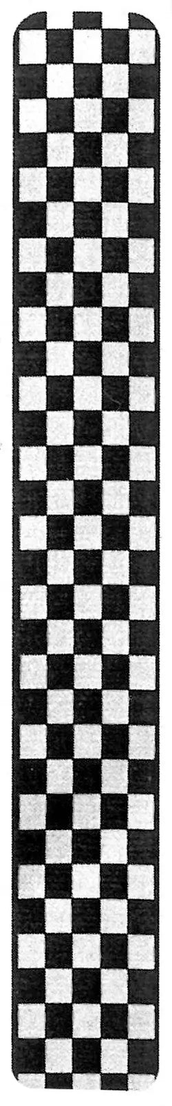 XTR 2" Checker Strap
