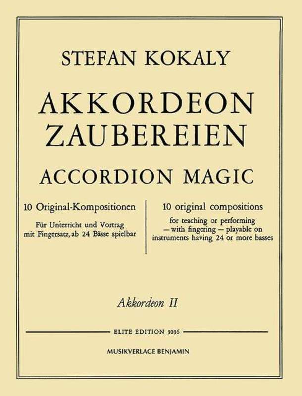 Accordion Magic Accordion Book