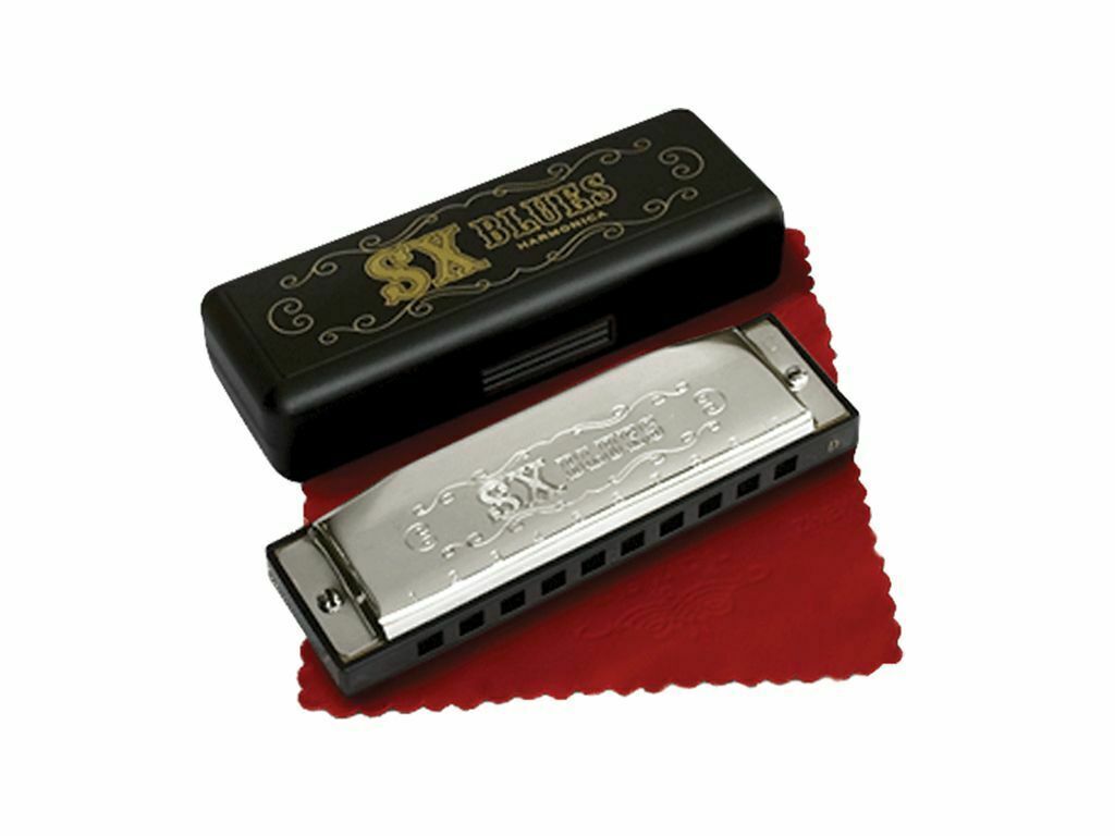 Essex Diatonic Blues Harmonica Key E 10 Hole Harmonica with Case