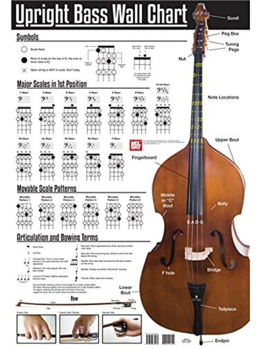 Upright Bass Wall Chart - Scale Patterns, Note Finder, Articulation Terms, Coated Paper