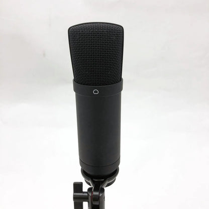 USB Condenser Studio Microphone with Desk Stand, USB Cable and Carry Bag — view 3