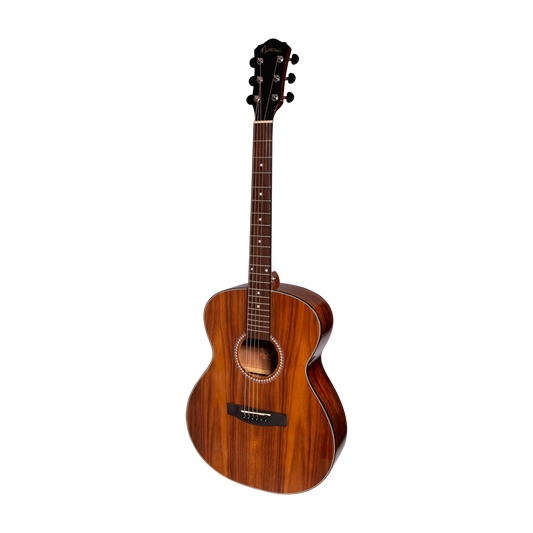 Martinez MF-25RG-NST Acoustic Gloss Small Body Guitar Rosewood Natural