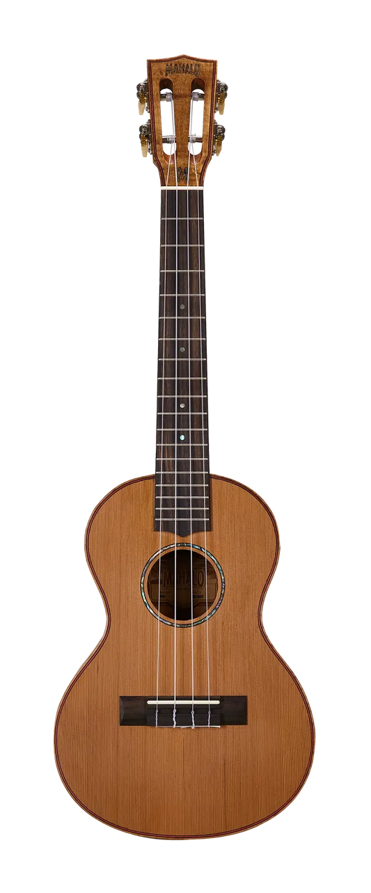 MM3 front
