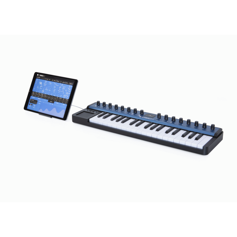 Modal Cobalt5S 5 Voice Synthesiser - USB-Powered, Portable Synth Architecture — view 5