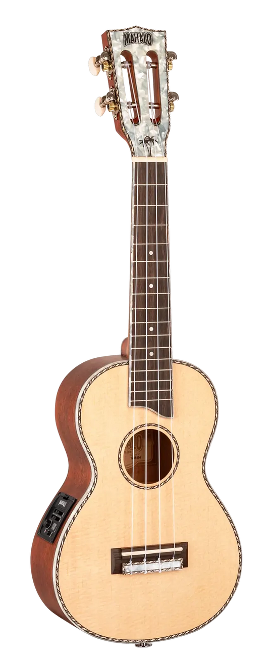 MP2E