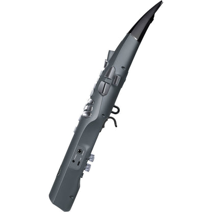 NXNES1GR