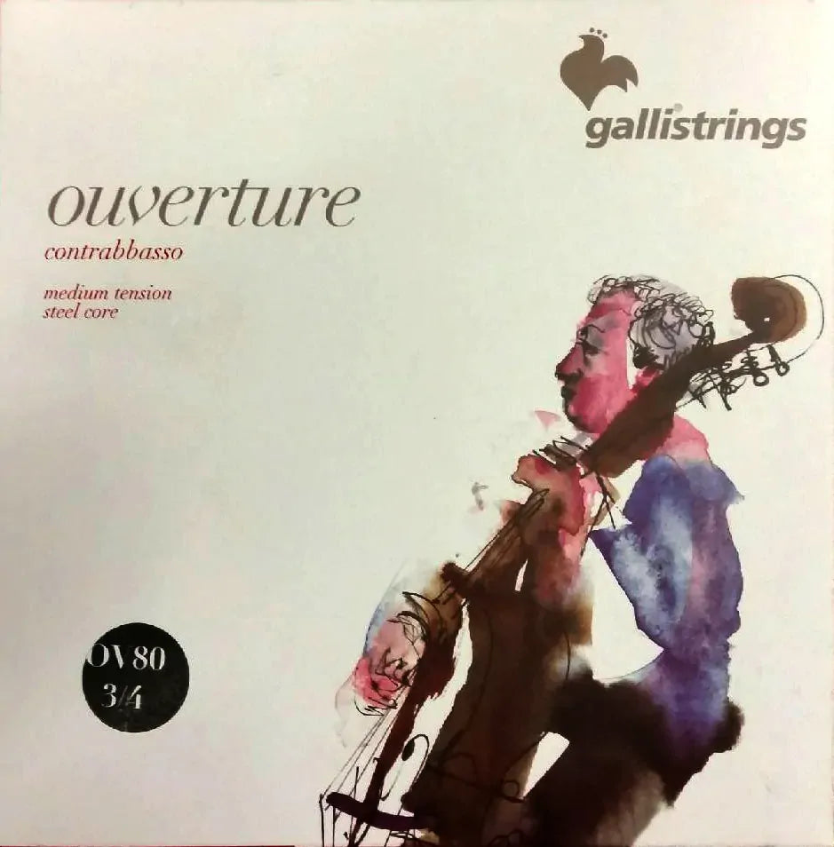 Galli 3/4 Size Ouverture Double Bass Strings