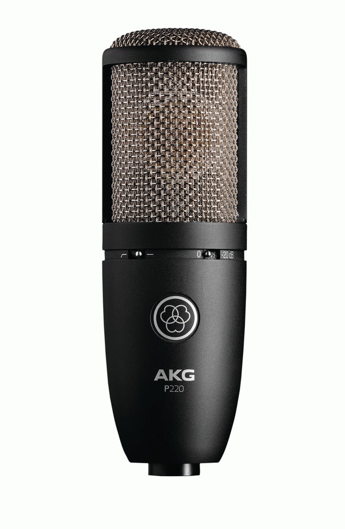AKG P220 Large Diaphragm True Condenser Mic — view 2