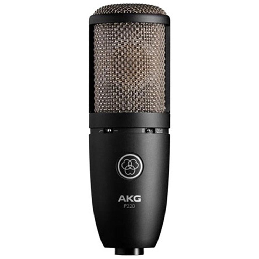 AKG P220 Large-Diaphragm Studio Condenser Microphone — view 2
