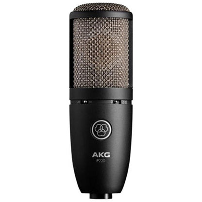 AKG P220 Large-Diaphragm Studio Condenser Microphone — view 2