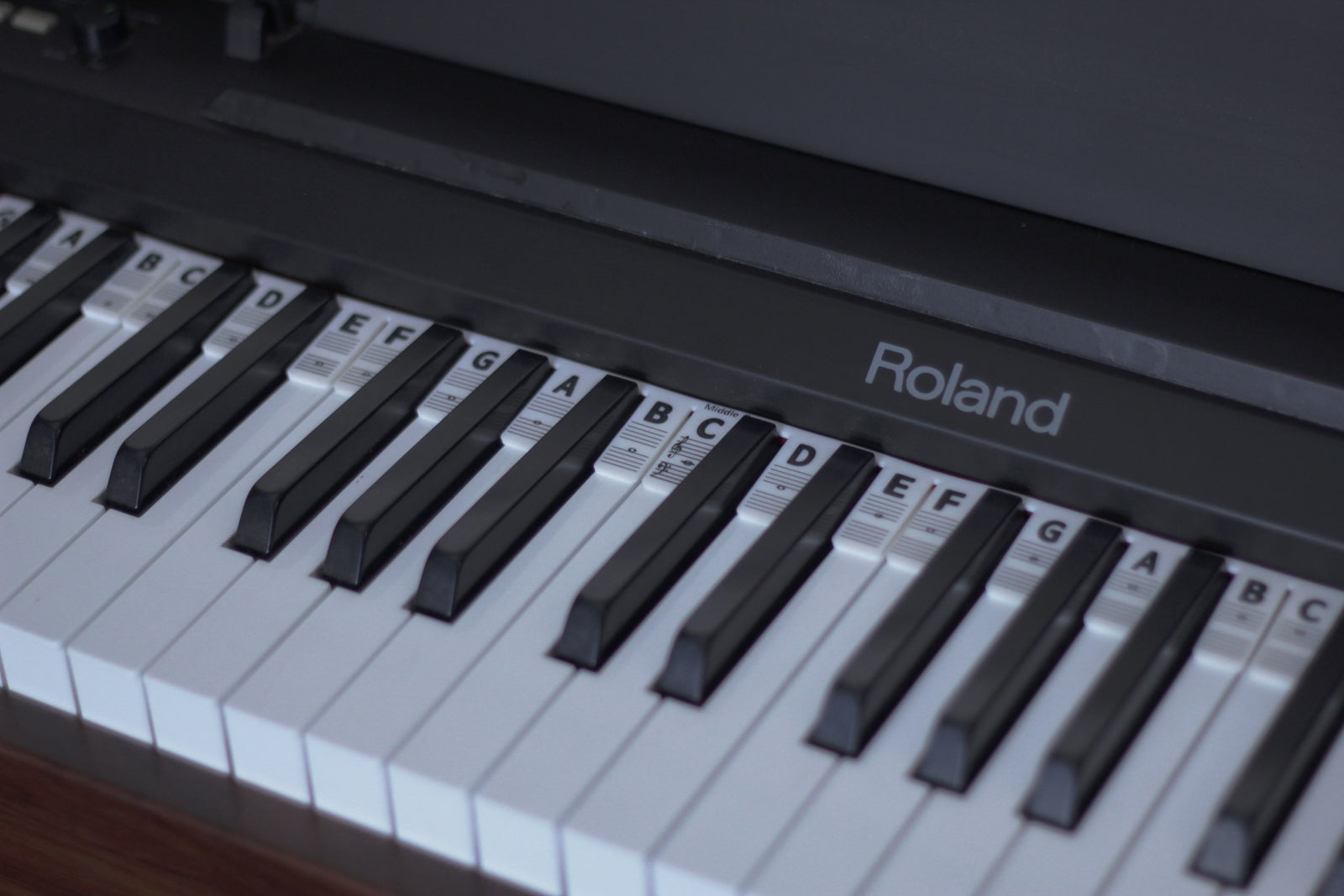 The Piano Rake — view 2