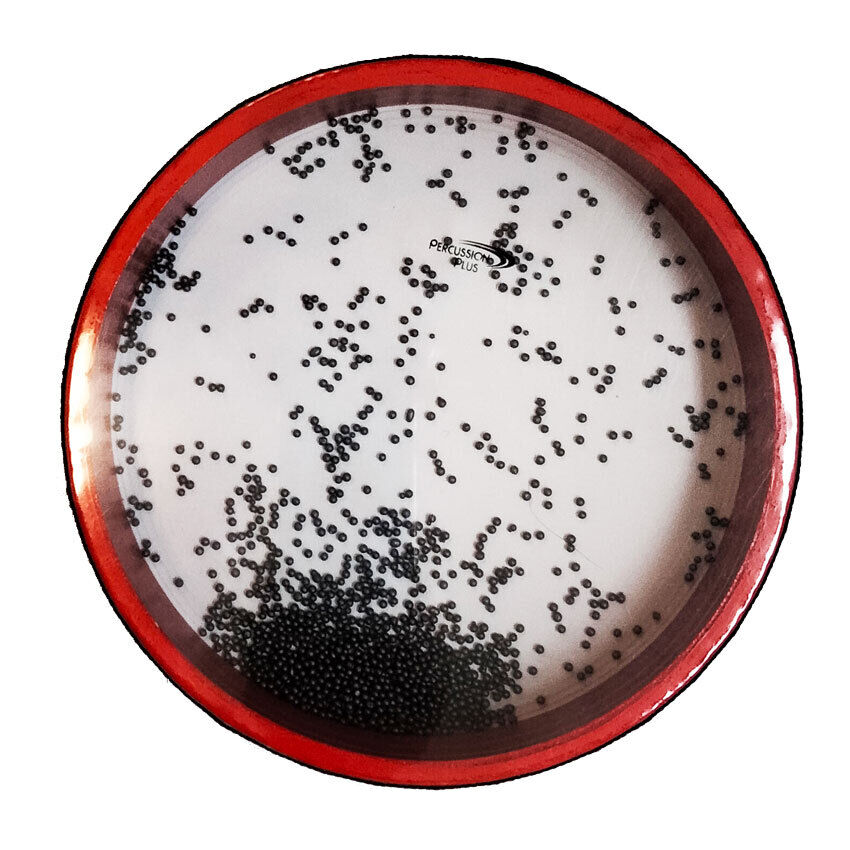 Percussion Plus 10" Handheld Ocean Drum Sound Effect — view 2