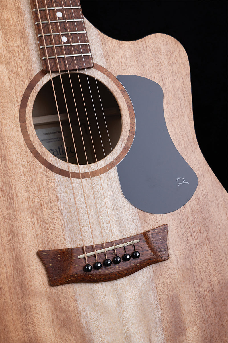 Pratley Classic Series Dreadnought Cutaway Acoustic Guitar Solid Maple Top and B/S — view 3