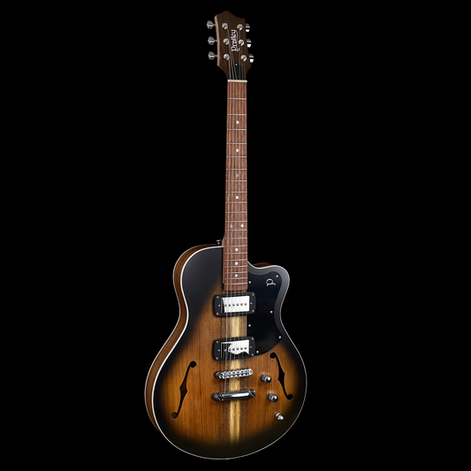 Pratley Electric Semi-Hollow Vintage Burst Single Cut SD Phat Cat P90 Guitar