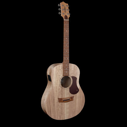 Pratley SL Stage Acoustic Guitar - Solid Queensland Blue Fig Top, Layered Back & Sides, Fishman Presys II Pickup, Includes Premium Case [PRSLS-E-FF] — view 2
