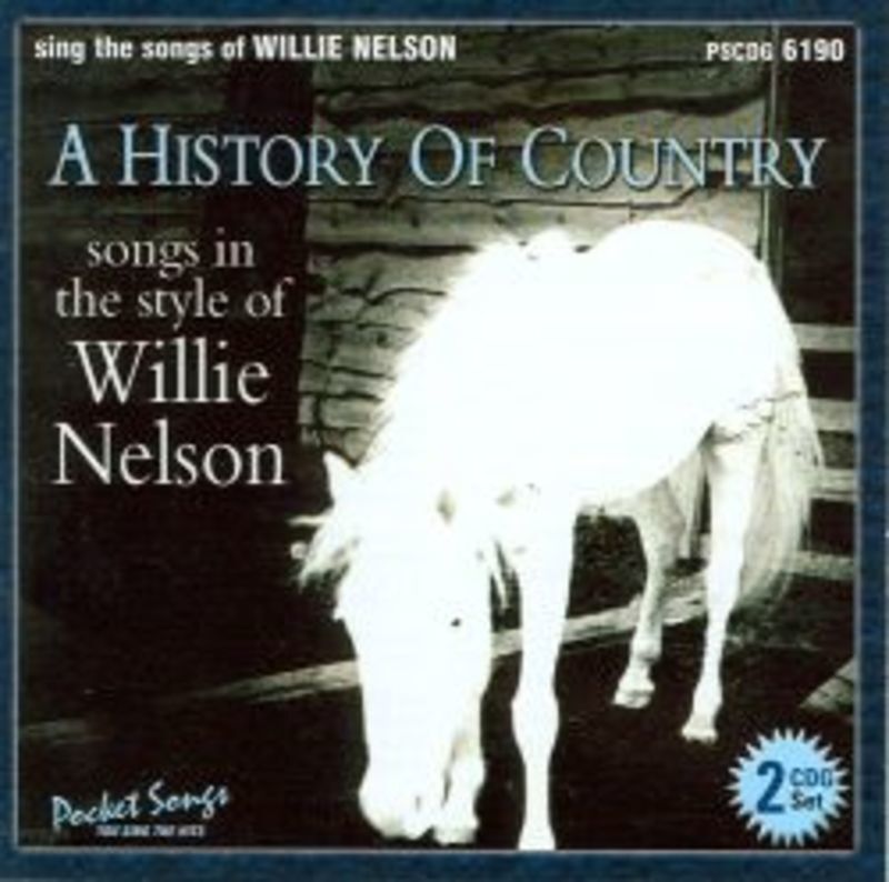 Sing The Hits Willie Nelson History Of Country